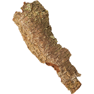 Pygeum africanum bark