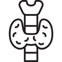 Thyroid