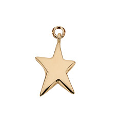 14kt Shining Star Charm for your Star of Life
