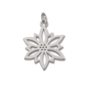 Sterling Silver 2009 Poinsettia Snowflake Charm