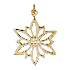 14kt 2009 Snowflake Charm with a Traditional six Pointed design