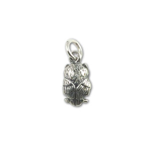 Sterling Silver Owl Charm