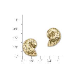 JHBreakell 14k Gold Nautilus Shell Earrings