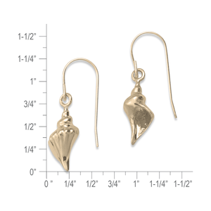 14K Gold Whelk Shell Earrings