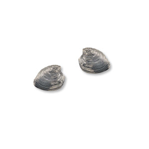 Sterling Silver Quahog Post Earrings Newport RI