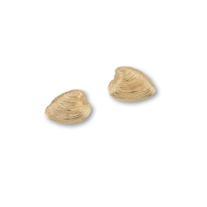 14kt Quahog Post Earrings amde of two half shells