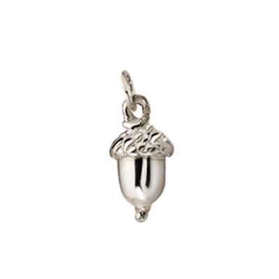 Great Piece of nature Sterling Silver Acorn Charm