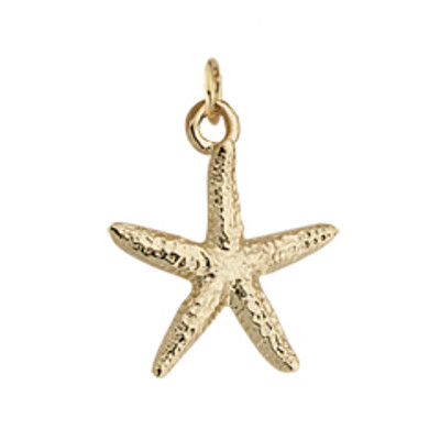14kt Real Sea Star Charm glitters in Light