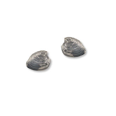 Sterling Silver Quahog Post Earrings Newport RI Sterling Silver Quahog Post Earrings Newport RI