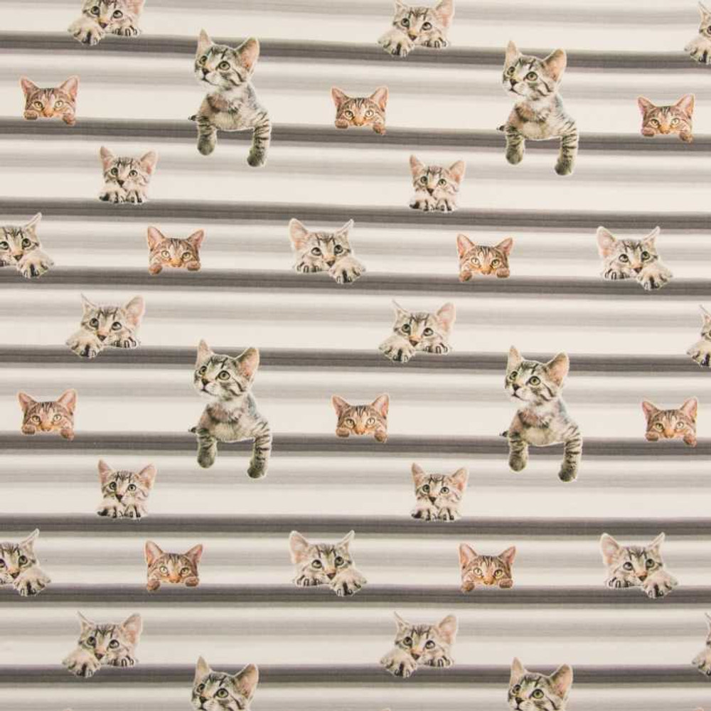 Cats on Stripes Cotton Lycra Knit