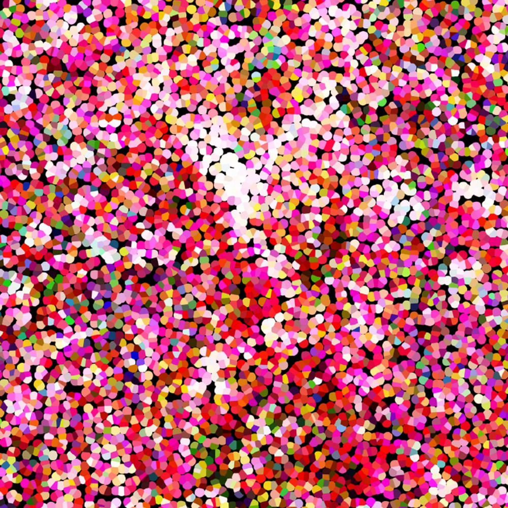 Pink Confetti Softshell