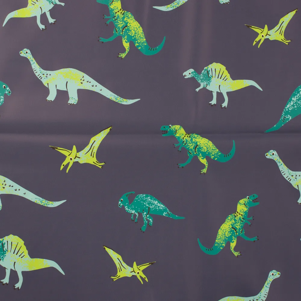 Dinosaurs on Navy Raincoat