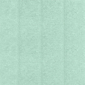 Mint Double Gauze Jersey Mint Double Gauze Jersey