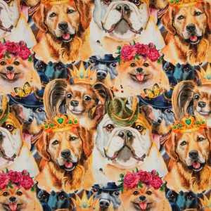 Royal Dogs Cotton Lycra Knit Royal Dogs Cotton Lycra Knit