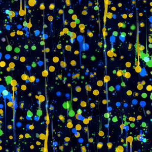 Paint Dots on Black Softshell Paint Dots on Black Softshell