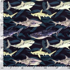 Sharks on Navy UV 50+ Swim