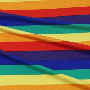 Classic Rainbow Stripe Double Brushed Poly