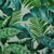 Green Jungle Leaves UV 50+ Swim