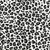 Leopard Print in Gray Cotton Lycra