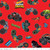Riley Blake Hot Wheels Monster Trucks on Red Quilting Cotton
