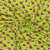 Happy Ladybugs on Lime Cotton Lycra