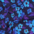 Blue & Lilac Floral on Navy Cotton Lycra Knit