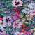 Pansy Garden Viscose Jersey