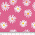 Custom Daisies on Pink Rib Knit