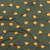 Knit Basics Peaches on Green Cotton Lycra Knit