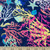Ocean Creatures Swim