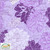 Stof Fabrics Purple Blooms Cotton Lycra Knit