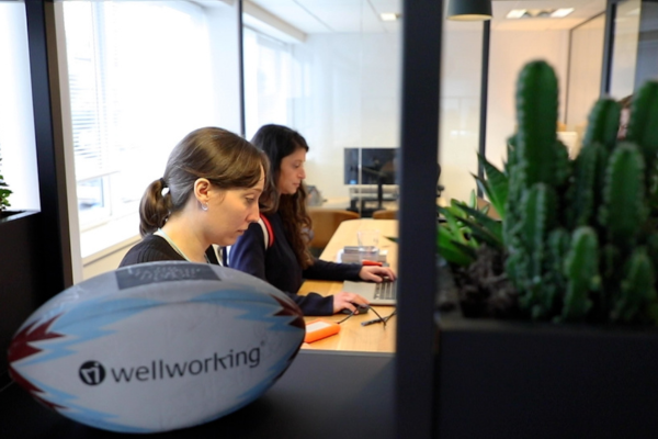 Wellworking Office