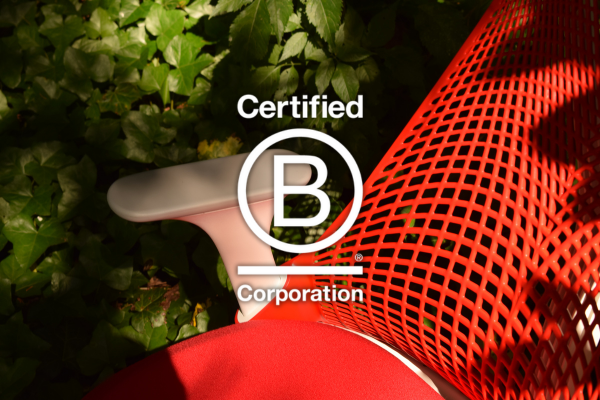 B Corp & Sustainability