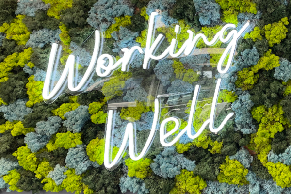 Why Wellworking
