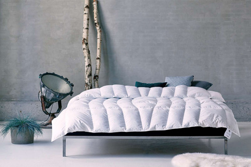 Goose and Icelandic Eiderdown Comforter / MEDIUM / ALL-SEASON / QUEEN / 92"x 90"