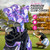 Taboo Fashions Women's Golf Club Head Covers, 4-Pack Designer Set, Resort Collection (Purple Petals)