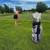 Taboo Fashions Ladies Resort Golf Club Cover Set - 4 Pack - Signature