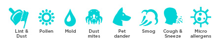 Particles Captured by MERV 8 HVAC Filters