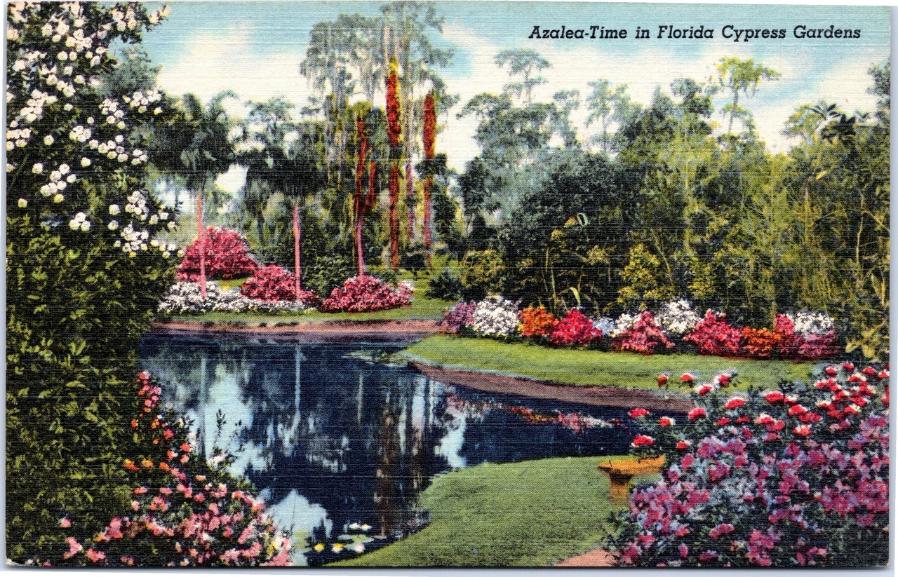 Azalea Time In Florida Cypress Gardens The Gayraj