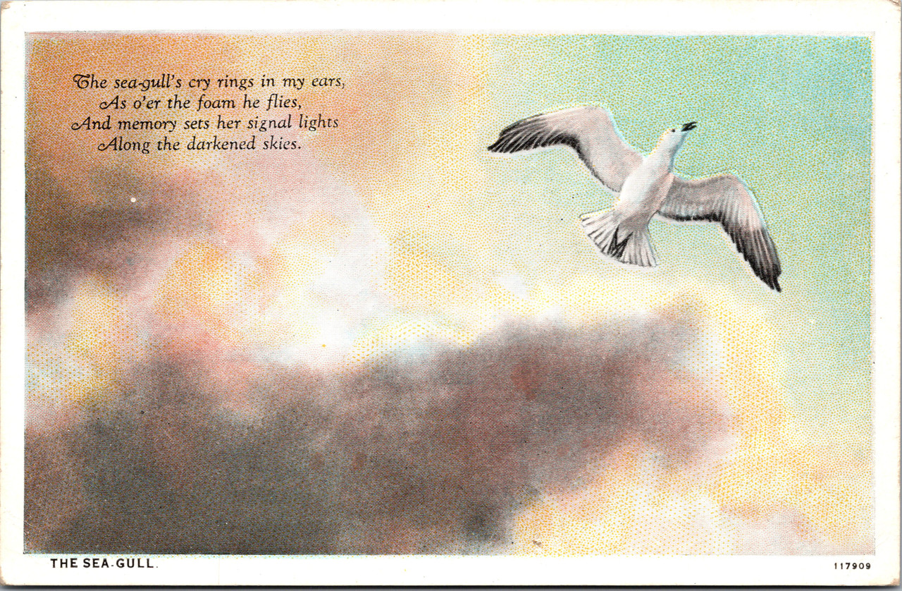 flying gull and tobacco Sea gull