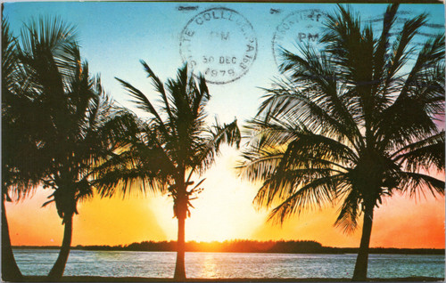 Florida sunrise with plam trees Posted 1979