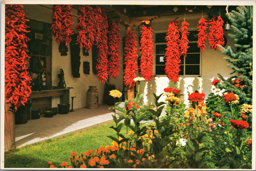 Chili Peppers hanging in garden