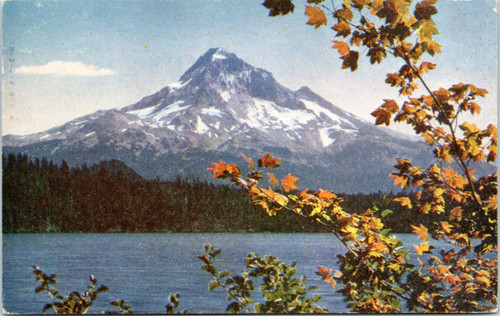 Mt. Hood - Scenic view with turning leaves