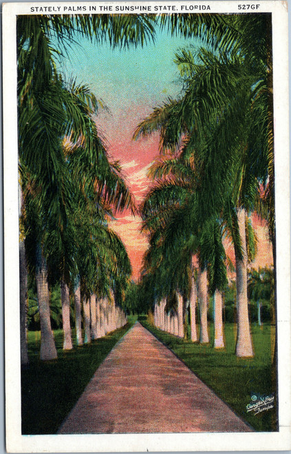 Stately Palms in the Sunshine State, Florida