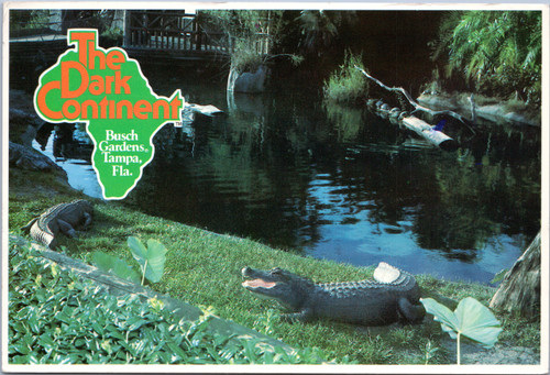 Busch Gardens, The Dark Continent - Alligators