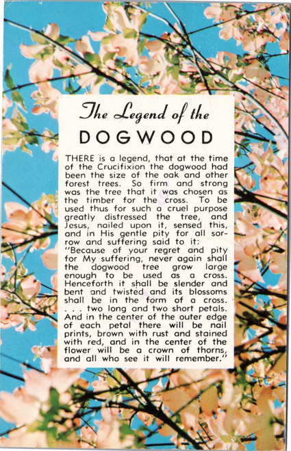 The Legend of the Dogwood