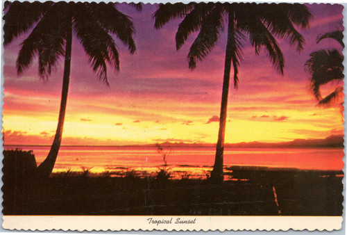 Hawaii Tropical Sunset