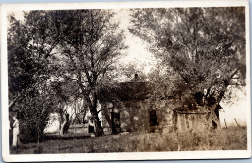 House with trees 1904-1918  (15-7563)