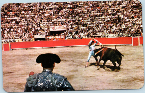 bullfight