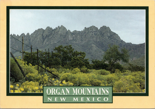 Organ Mountains